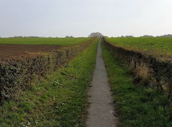 Percorso A piedi Voerendaal - De Roode draed - Photo