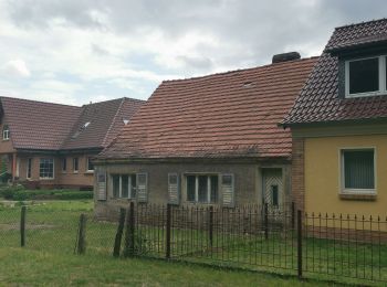 Tour Zu Fuß Münchehofe - Rundwanderweg Miethsluch - Photo