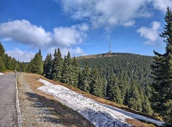 Excursión A pie Sobotín - NS Po hřebenech světem horských luk - Photo