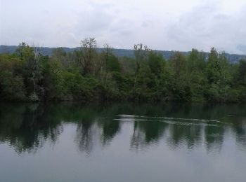 Randonnée Marche Thonon-les-Bains - lac - Photo