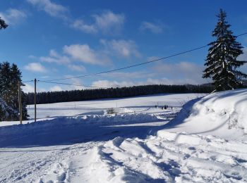 Randonnée Raquettes à neige Haut Valromey - sortie raquettes LACHAT - Photo