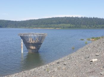 Randonnée Marche Celles-sur-Plaine - Du lac de la Plaine au lac de Vieux-Pré à Pierre-Percée - Photo