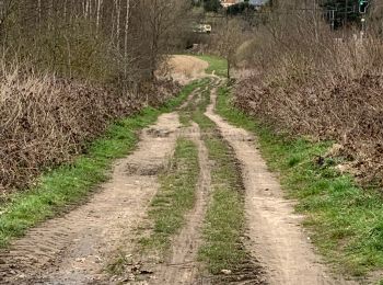 Tour Wandern Grez-Doiceau - Tour du Château + Tilleul  - Photo