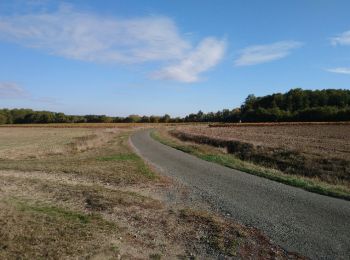 Percorso Marcia Saint-Ouen-les-Vignes - Saint-Ouen-les-Vignes - Monteaux (la Digue) via GR - 21.4km 160m 4h30 (35mn) - 2018 10 27 - Photo