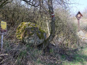 Excursión A pie Gemeinde Retz - Rosstalenweg - Photo