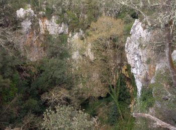 Tour Wandern Sauve - Mer des Rochers 24.3.24 - Photo