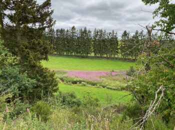 Percorso Marcia Wincrange - Escapardenne Eisleck Trail: Moulin d'Asselborn - Houffalize - Photo