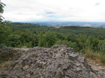 Randonnée A pied Dannenfels - Keltenwanderweg - Photo