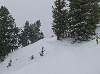 Trail Snowshoes La Plagne-Tarentaise - La Plagne Village, Dou du Praz, La Plagne Centre  - Photo