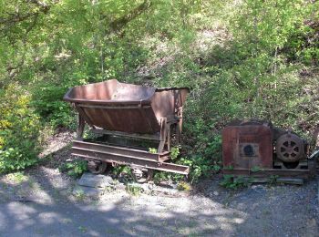 Trail On foot Bundenbach - Traumschleife Hahnenbachtaltour - Photo