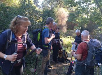 Tour Wandern Le Lavandou - Le Lavandou Cavalières le Temple d'Hercule  - Photo