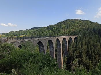 Tour 4x4 Moudeyres - 15-07-23 trancevenole - Photo