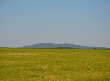 Tour Zu Fuß Haselbachtal - Niederlichtenauer Keulenbergweg - Photo