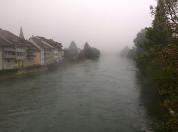 Tour Zu Fuß Hägglingen - Mellingen Brücke - Meiengrüen - Photo