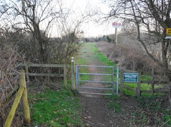 Tocht Te voet Wyre Forest - Stourport Circular Walk - Photo