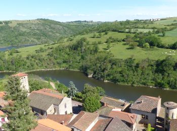 Trail Walking Saint-Jean-Saint-Maurice-sur-Loire - St Jean-St Maurice 18km - Photo