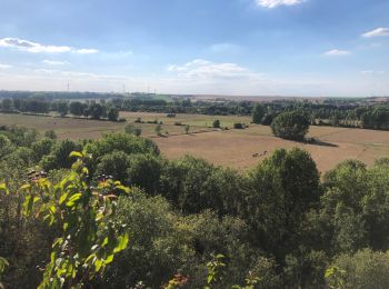 Trail Walking Mont-d'Origny - Falaise bloucard - Photo