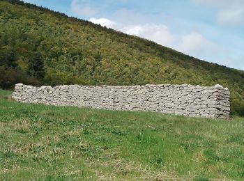 Tocht Stappen La Rochegiron - larochegiron.fon martine - Photo