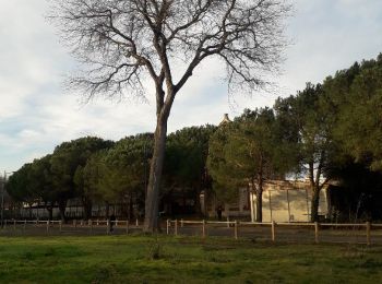 Randonnée Marche Toulouse - La Violette / Trois Cocus (provisoire) - Photo