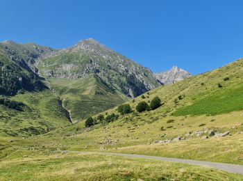 Randonnée Marche Ancizan - Boucle de L'Artigou Payolle - Photo