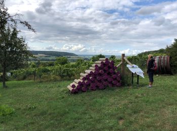 Tocht Stappen Rouvroy - La Charmouthienne_boucle_Torgny_16km_2019-09-08 - Photo