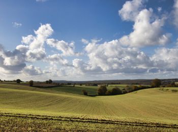 Tocht Stappen Arcisses - Coudreceau, les panoramas du Perche Eurélien 9,4 km - Photo