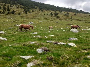 Randonnée Marche Mérens-les-Vals - Mèrens les Vals Haut Porta GR 107 Le chemin Des Bonshommes - Photo