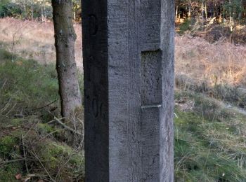 Trail On foot Trois-Ponts - 12. Promenade des Bornes Frontières - Photo