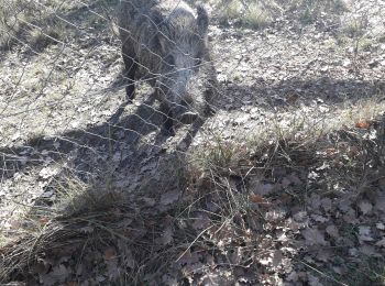 Randonnée Marche Le Poët-Laval - Serre Gros - Photo