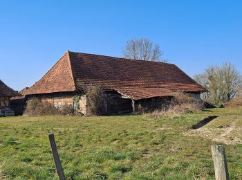 Randonnée V.T.C. Diconne - Les Jacquards  - Photo