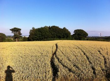 Tour Zu Fuß North Warwickshire - ACW Circular Walk 16A (short-cut for C16) - Photo