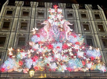 Tocht Stappen Parijs - Nocturne illuminations parisiennes 2024 - Photo