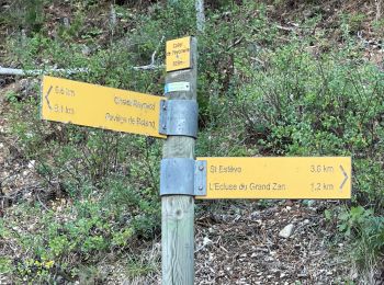 Tour Wandern Bédoin - Le Mont Ventoux depuis Bédoin  - Photo