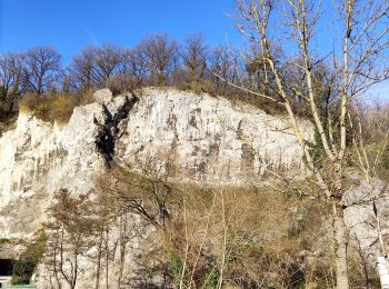 Excursión Senderismo Comblain-au-Pont - Promenade vers le site naturel des tartines  - Photo