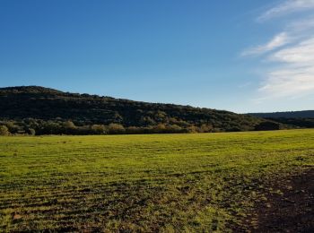 Tocht Stappen Le Bosc - Saint-Alban - Célis - La Roque  - Photo