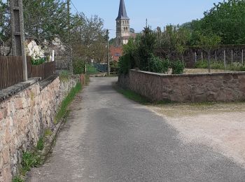 Tocht Stappen Gibles - GIBLES ET SA CAMPAGNE - Photo