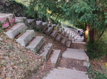 Tocht Stappen Grenoble - la bastille  - Photo