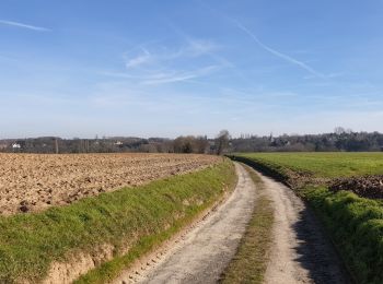 Randonnée Marche Chaumont-Gistoux - Marche Adeps a Chaumont Gistoux - Photo