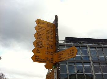 Trail On foot Brittnau - Zofingen - Strengelbach - Ob. Sennhof - Photo
