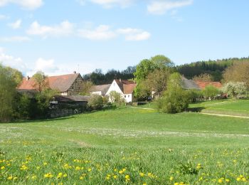 Excursión A pie Treuchtlingen - Kapellenweg - Photo