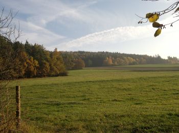 Tocht Te voet Louňovice pod Blaníkem - Malý Blaník – Podlesí - Photo