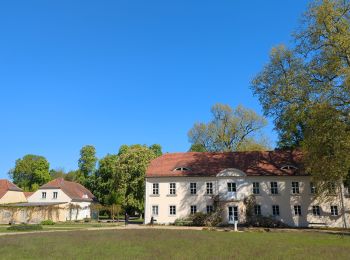 Excursión Senderismo  - Boucle autour du Sacrower See und Königswald - Photo