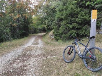 Percorso Mountainbike Villard-de-Lans - Villard-de-Lans Cyclisme sur route - Photo