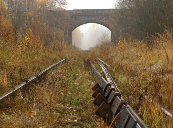 Percorso A piedi  - Górniczy szlak młoteczkowy Nowa Ruda - Photo