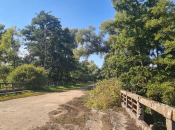 Percorso Mountainbike Castres - Parcours fontaines les clercs - Photo