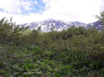 Tocht Stappen Albiez-Montrond - le chalmieu 1 - Photo