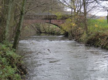 Randonnée A pied Mömlingen - Parkplatzrundwanderweg Buchberg 2 : Hausen-Weg - Photo