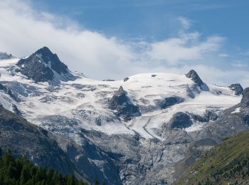 Percorso A piedi Samedan - Roseg - Chamanna da Tschierva - Photo