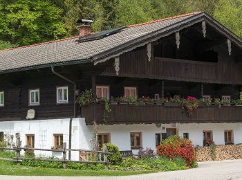 Trail On foot Aschau im Chiemgau - HAAS - Trail - Photo