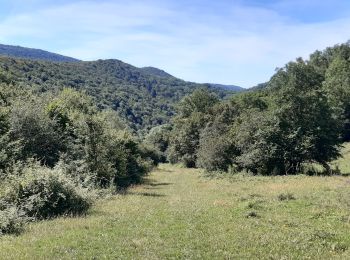 Tour Zu Fuß Val-Revermont - Nivigne Cuisiat - Photo